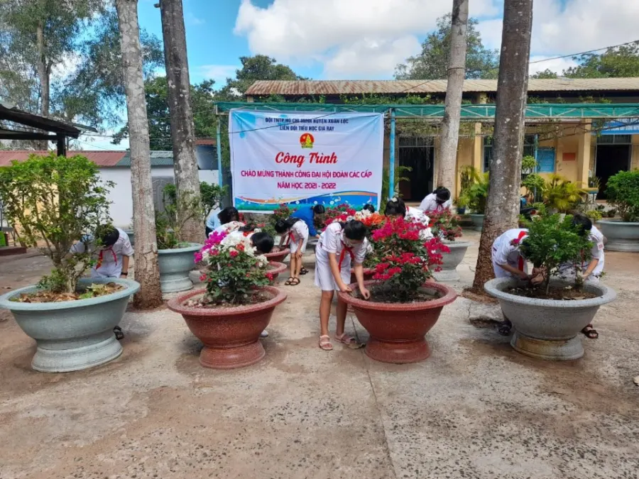 Trường Tiểu Học Gia Ray