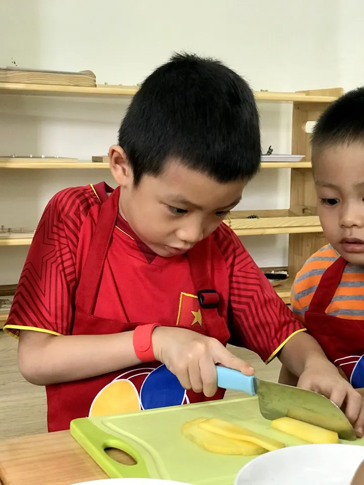Montessori Inspired Tiny Nest - Mầm non Tổ Nhỏ