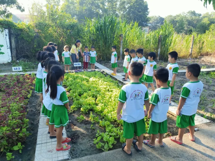 Trường Mẫu Giáo Minh Tân