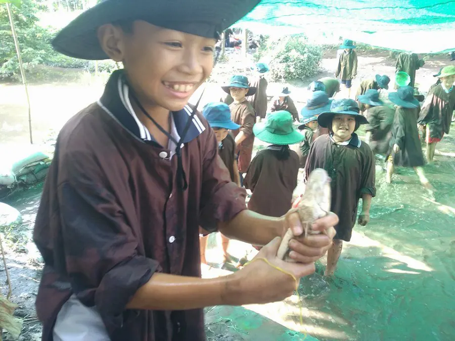 Trường Tiểu Học Bến Súc