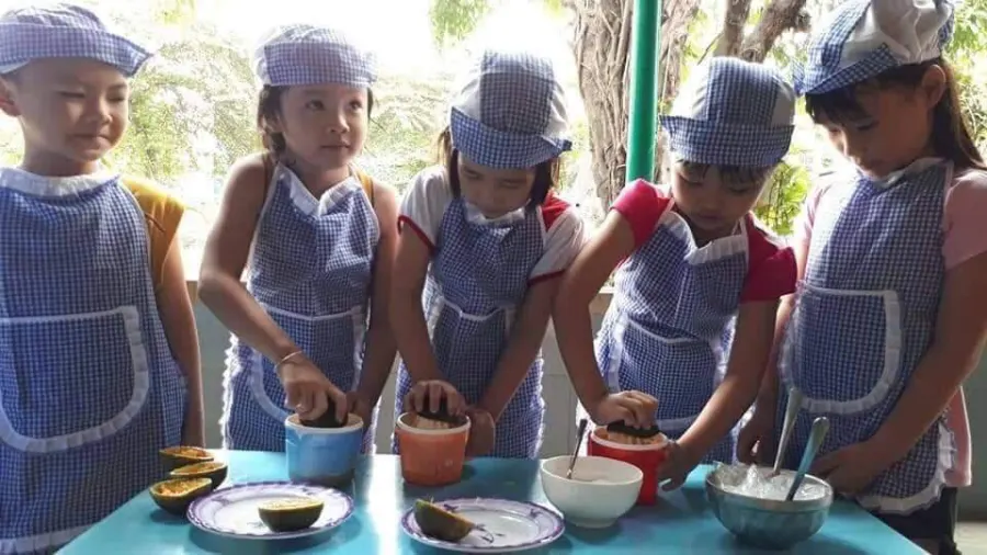Trường Mầm Non Hoa Phượng