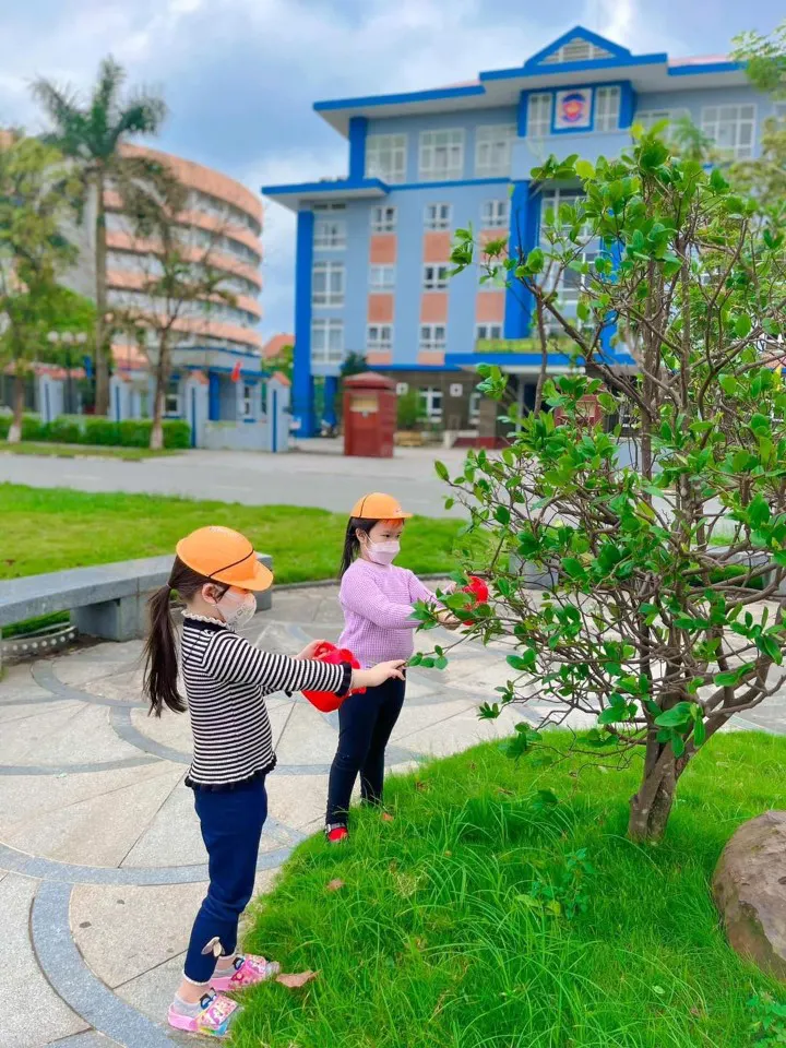 Mầm Non CLC Hoa Hướng Dương