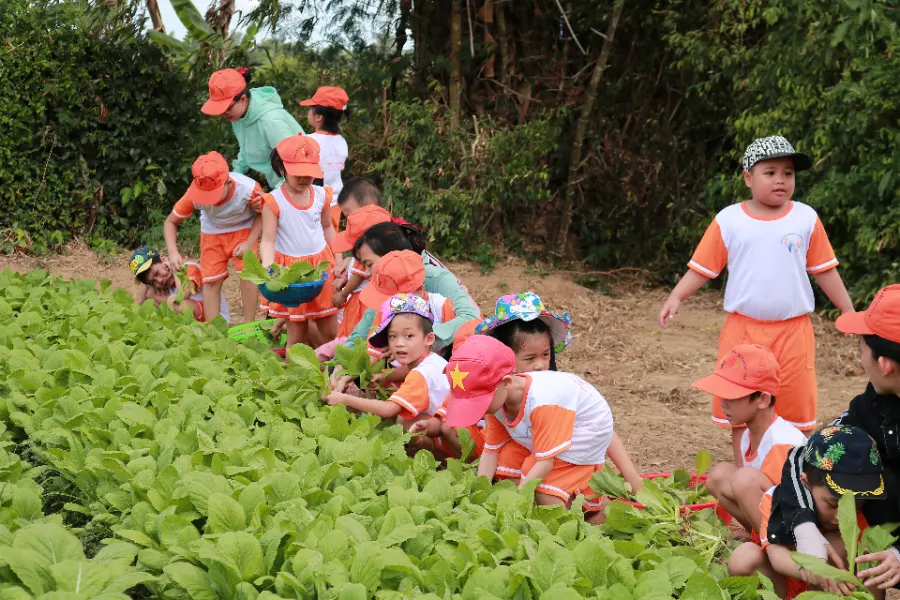 Trung Tâm Hỗ Trợ Phát Triển Giáo Dục Hòa Nhập Và Can Thiệp Sớm Thy Phát