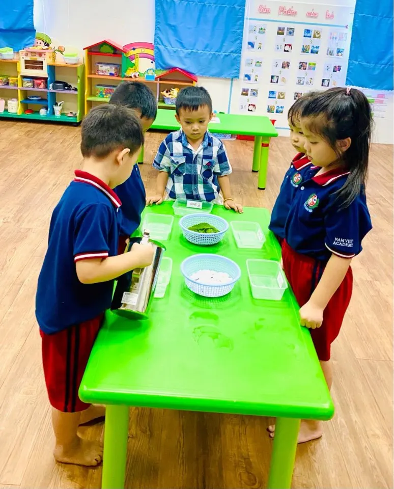 Trường Mầm Non Navia (Nam Việt Academy)