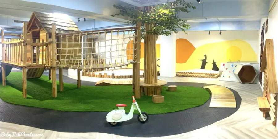 Trường mầm non Montessori Những chú cá nhỏ ( Baby Fish Montessori Kindergarten )