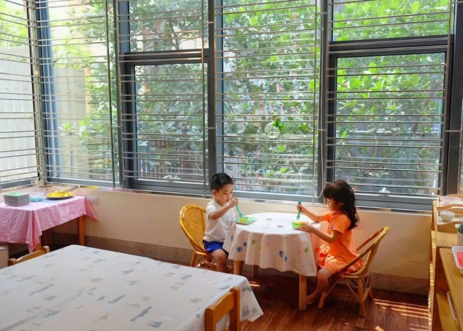 Trường mầm non Montessori Những chú cá nhỏ ( Baby Fish Montessori Kindergarten )