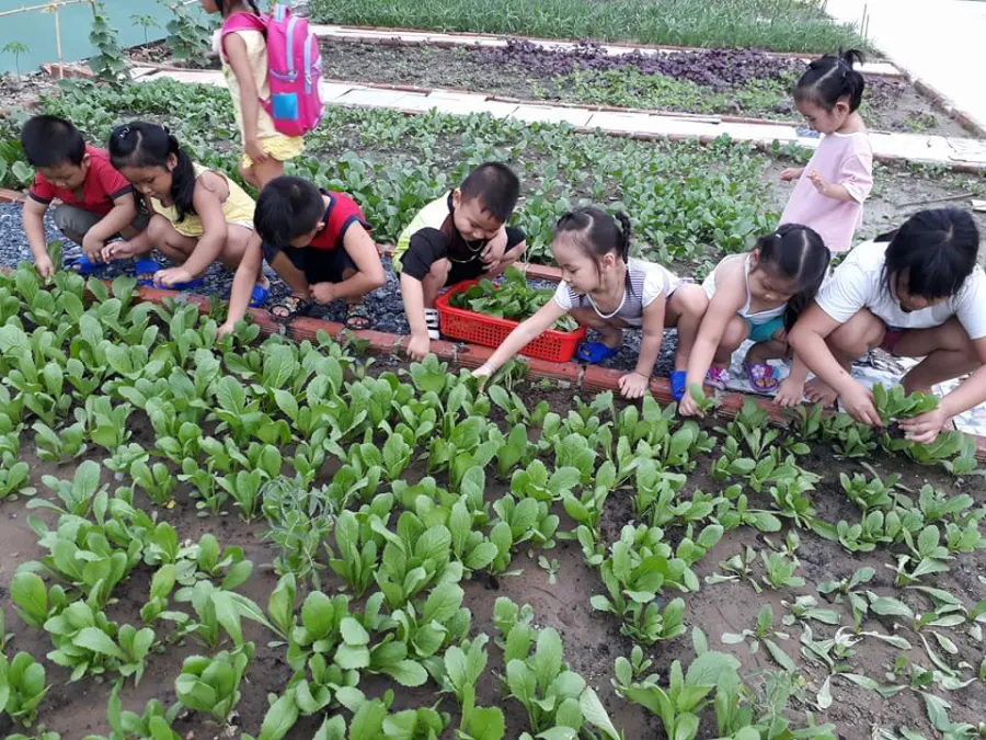Trường Mầm Non Chất Lượng Cao 1 Tháng 6